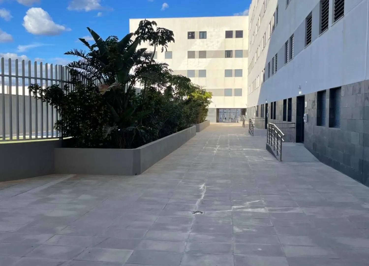 Albatros location